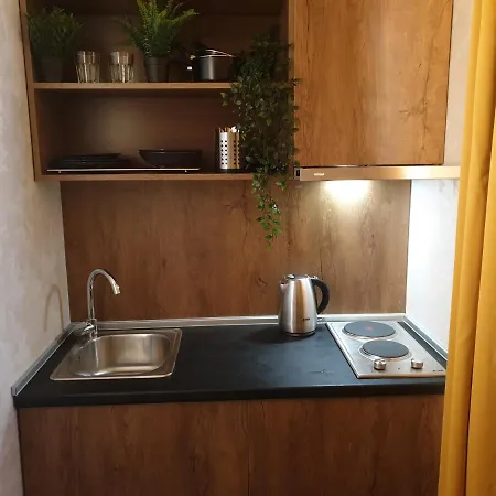 Business Waterfront Apartment